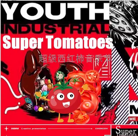 音乐节舞美活动视觉设计方案策划